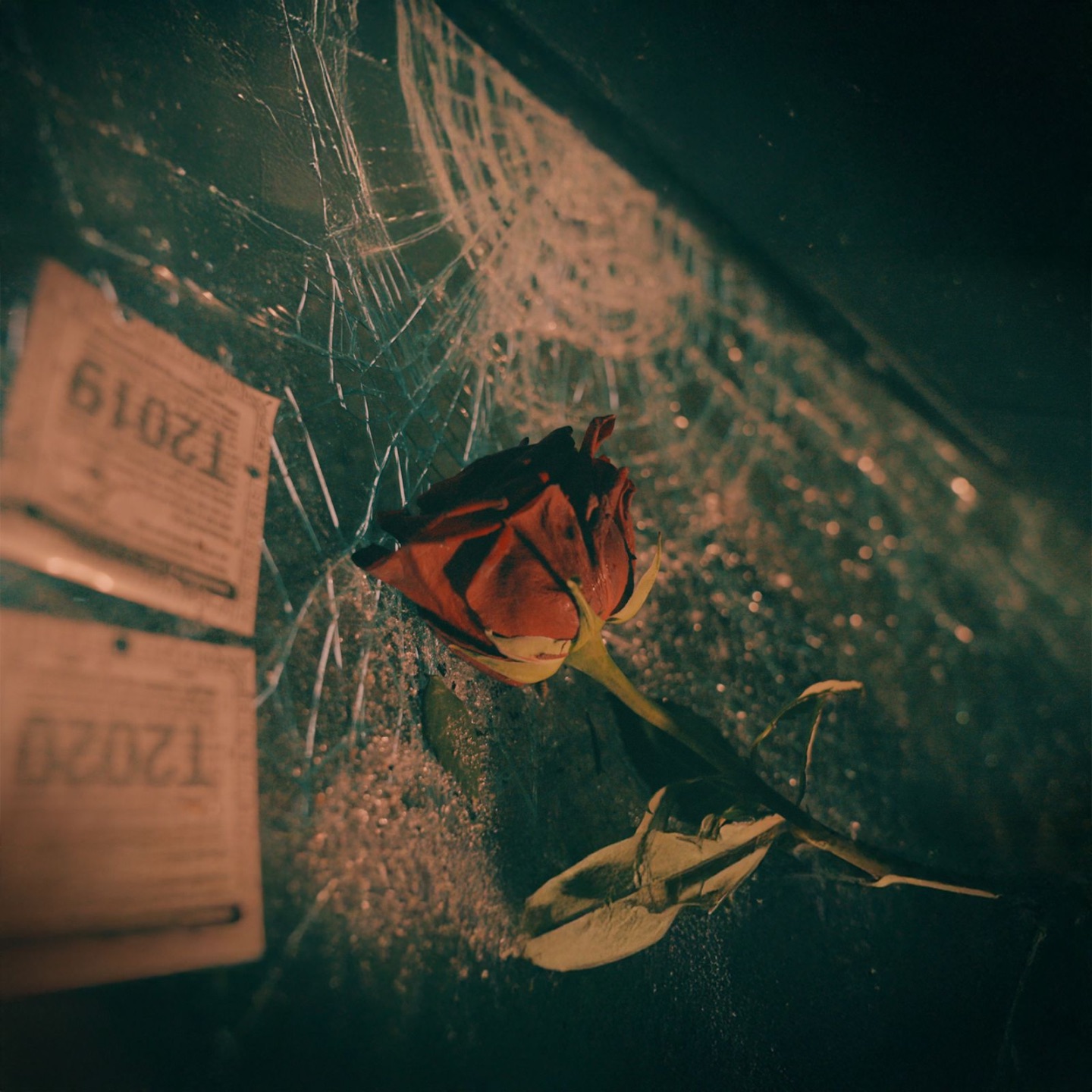 FRAIERUL TĂU - Single