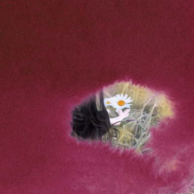 MI CLAVEL - EP