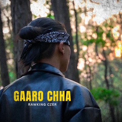 Gaaro Chha - Single