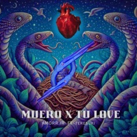 MUERO X TU LOVE (feat. Teresuki) - Single - amorr.ir