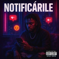 Notificările - Single - EXE