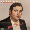 Flamenco - José Galán