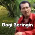 Bagi beringin