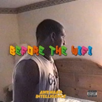 Before the Wifi - Single - Awkward Intelligence