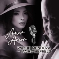 Amor Amor (feat. Waldo Mendoza) - Single - Mairo Heffels