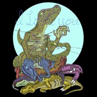 Silver Lining - Single - Mt. Joy