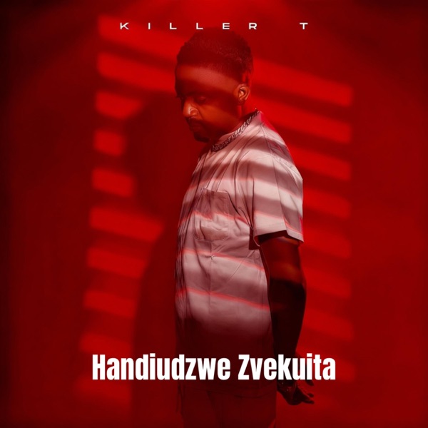 Handiudzwe Zvekuita