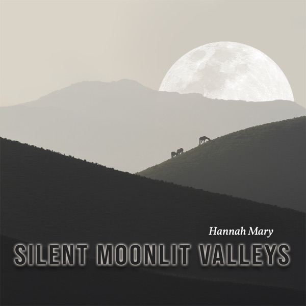Silent Moonlit Valleys