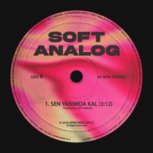 Soft Analog - Sen Yanımda Kal Resimi