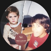Where the Birds Speak - Single - Urmet K & Juan Yarin