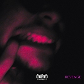 GOIN INSANE (BONUS TRACK) (feat. YNS KAY) CHILLOUTDAVE77