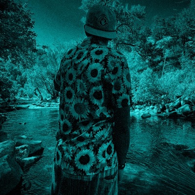 Really Had Something (VNYRD Remix) - Single