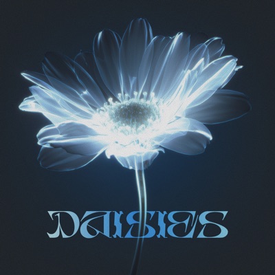 Daisies - Single