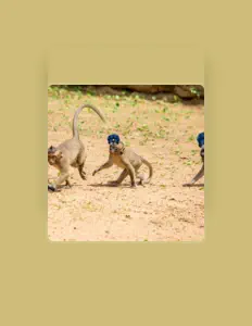 Ακούστε περιεχόμενο από FrodoGaggins, παρακολουθήστε μουσικά βίντεο, διαβάστε το βιογραφικό, δείτε ημερομηνίες περιοδείας, και πολλά ακόμη!