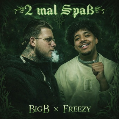 2 mal Spaß (feat. FreezyMusic) - Single