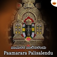 Paamarara Palisalendu - Single - Prithwi Bhat