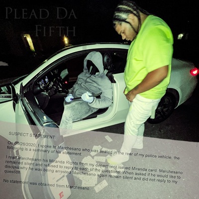 Plead Da Fifth - Single