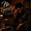 No Goodbye