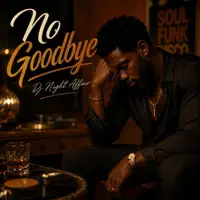 No Goodbye — Dj Night Affair