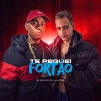 Te Peguei Fortão (feat. DJ BM PROD) - Single - Mc gk da norte