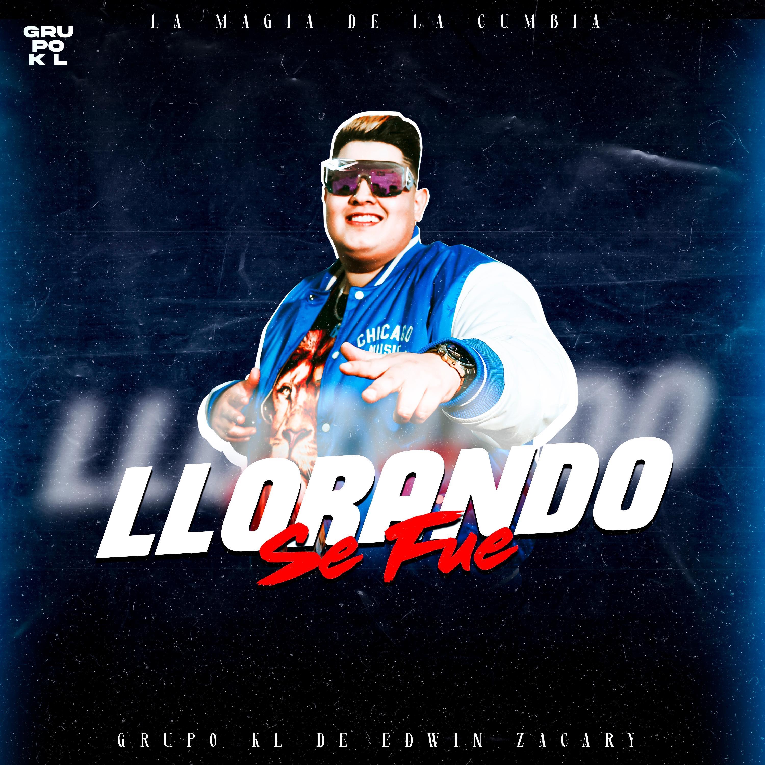 Llorando Se Fue - Single