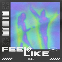 Feels Like - Single - teej