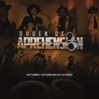 Orden De Aprehension - Single - Los Picudos & Los Renovados De California