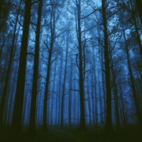 Acussed - Single - Forsaken