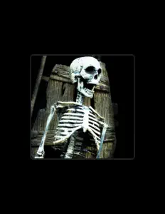 Ακούστε περιεχόμενο από Free Pape, παρακολουθήστε μουσικά βίντεο, διαβάστε το βιογραφικό, δείτε ημερομηνίες περιοδείας, και πολλά ακόμη!