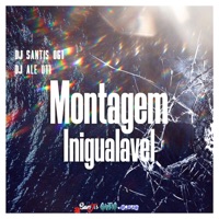 Montagem Inigualavel - Single - DJ SANTIS 061 & DJ ALE 011
