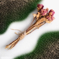 BLUMEN - Single - Sääftig