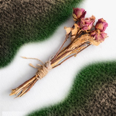 BLUMEN - Single