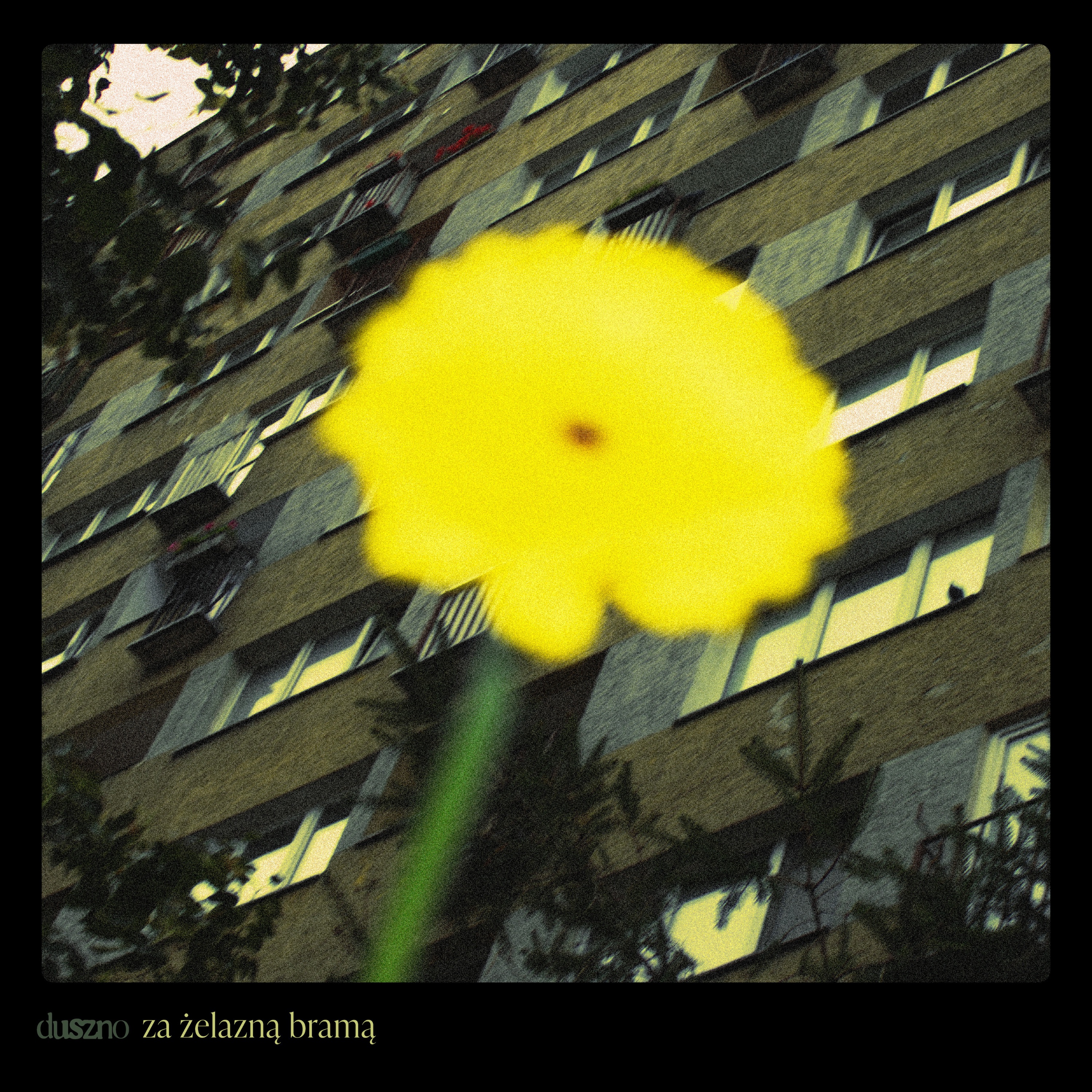 za żelazną bramą - Single