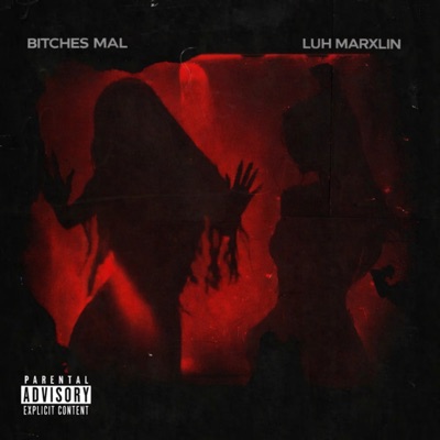 Bitches Mal - Single