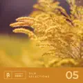 Something Beautiful