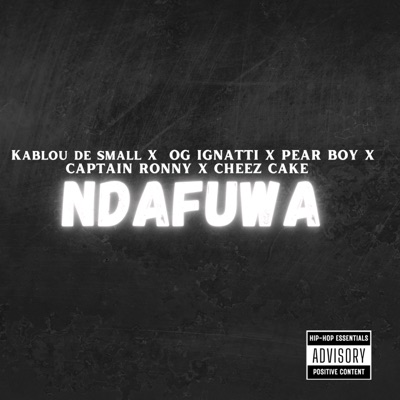 Ndafuwa (Radio Edit) - Single