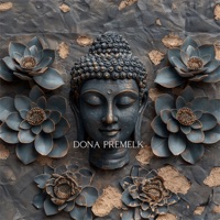 Limitless - Dona Premelk