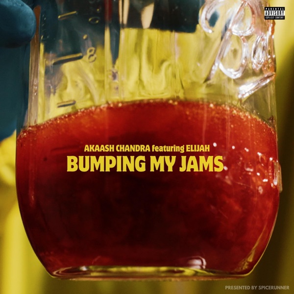 BUMPING MY JAMS (feat. EliJah)
