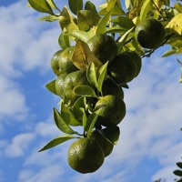 All the Time - Single - Thékho