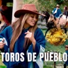 Mix toros de pueblo