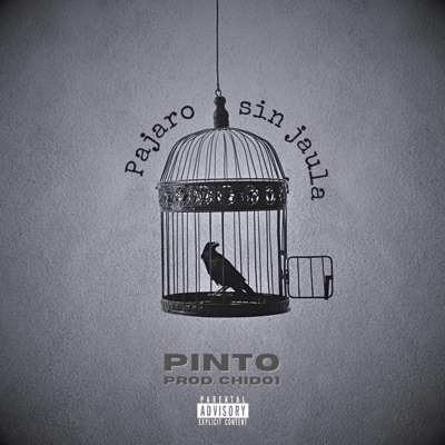 PAJARO SIN JAULA (feat. CHIDO1) - Single