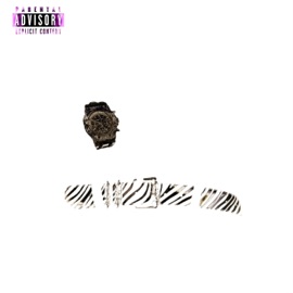 Bathing Ape Ali Ashraf