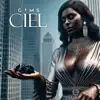 GIMS - CIEL