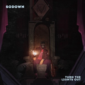 Turn the Lights Out - Single