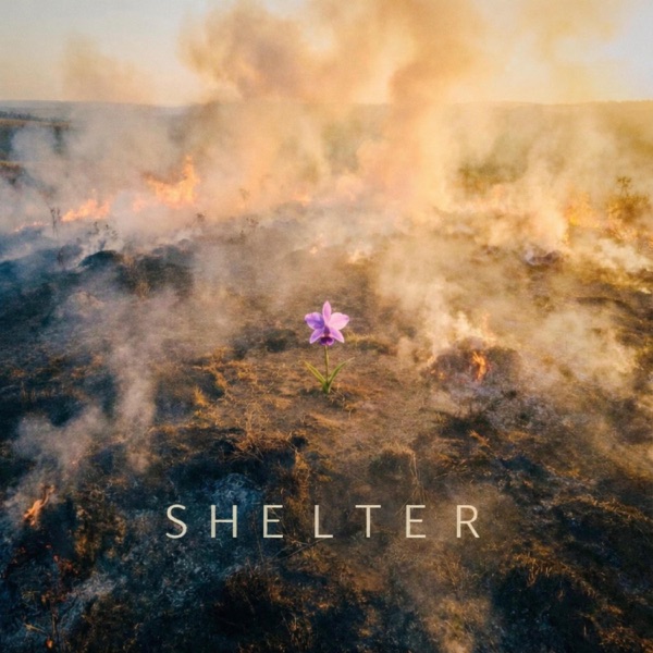 SHELTER
