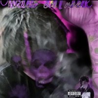 Wait On Me - Single - Evølscoot