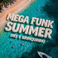 MEGA FUNK SUMMER - Single - DJ Brinquinho SC & DKS DJ