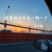 我喜欢你不是一朝一夕 - Single - 花不晚