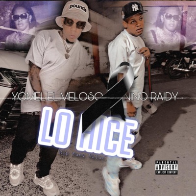 Lo Hice (feat. Yomel El Meloso) - Single