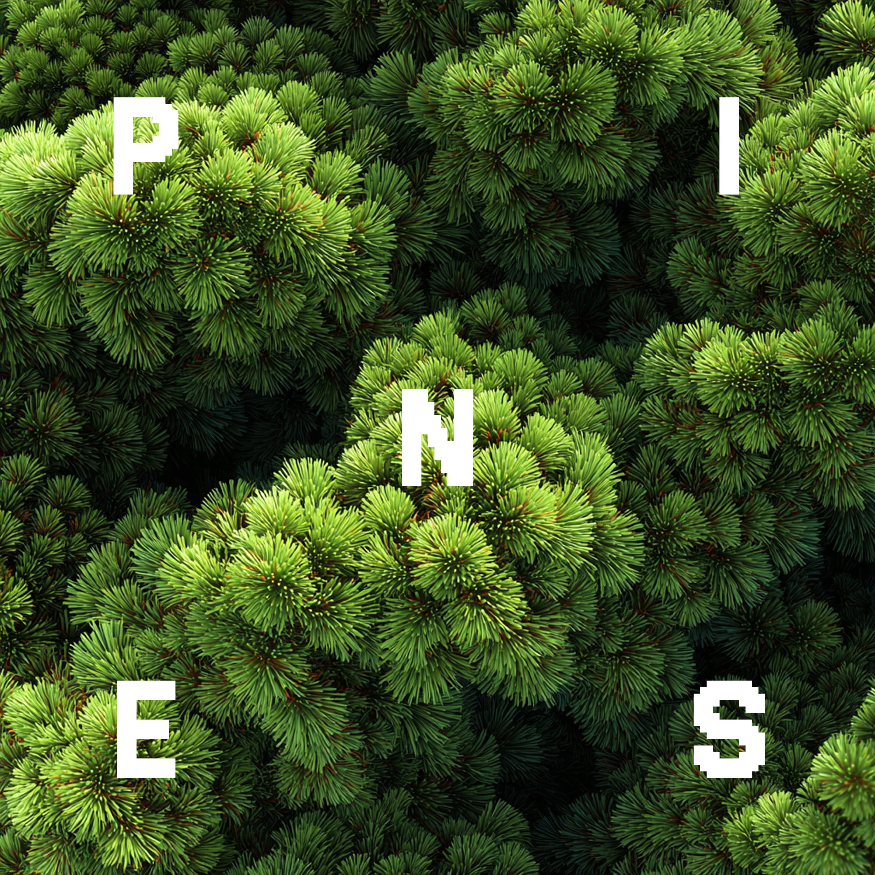 Pines - Single
